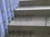 2010-07-21 09.33.23